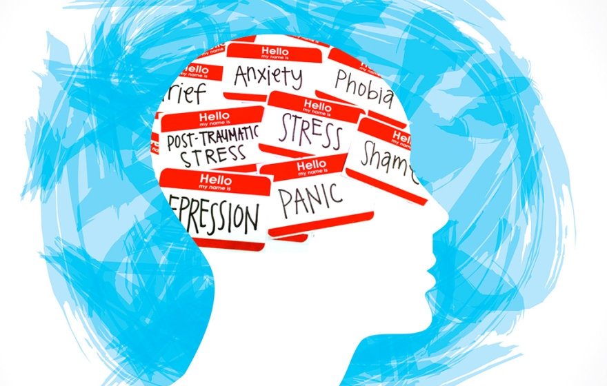 sketch of a human head with mental illness labels all over
