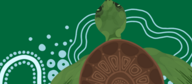 drawing of a turtle