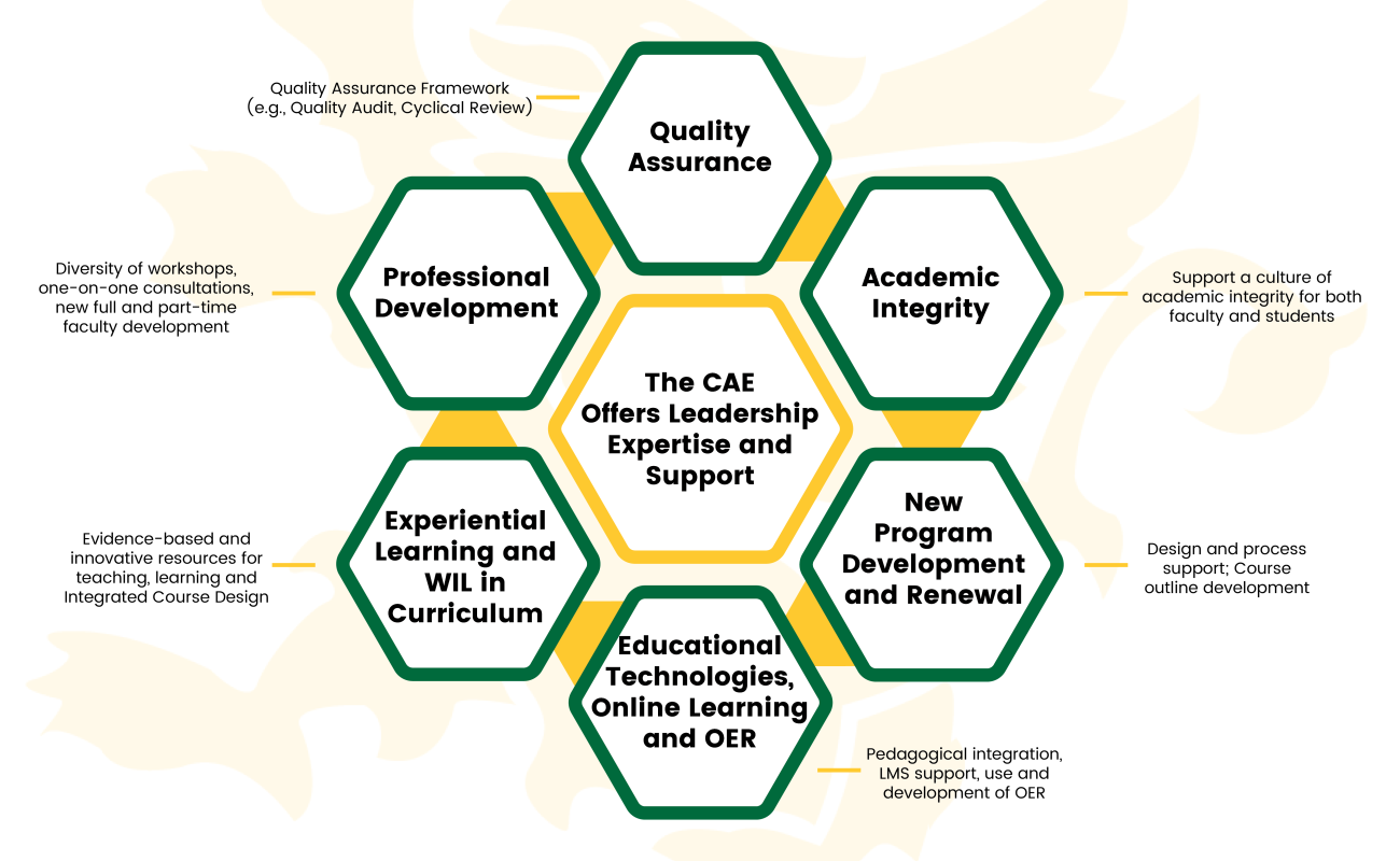 CAE Infographic: The CAE offers leadership, expertise, and support in the following areas:Quality Assurance; Academic Integrity; New Program Development and Renewal; Educational Technologies, Online Learning, and OER;  Experiential Learning and WIL in Curriculum; Professional Development