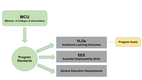 Program standards and goals diagram depicts the Ministry of Colleges & Universities with an arrow to program standards, with arrows to VLOs, EES, and General Education Requirements and VLOs leading to program goals.