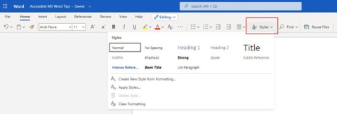 MS Word Style menu available from the Home Ribbon.